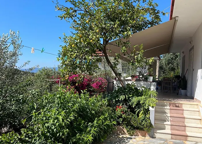 Ohanaa Apartament