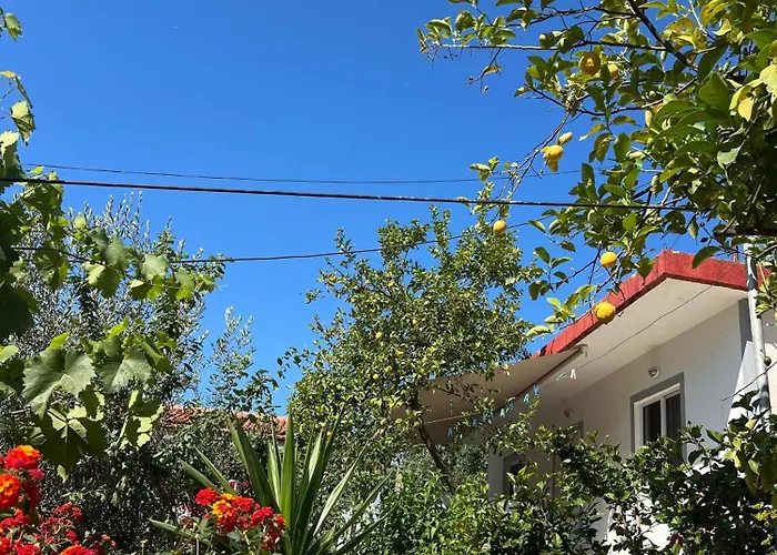 Ohanaa Apartament